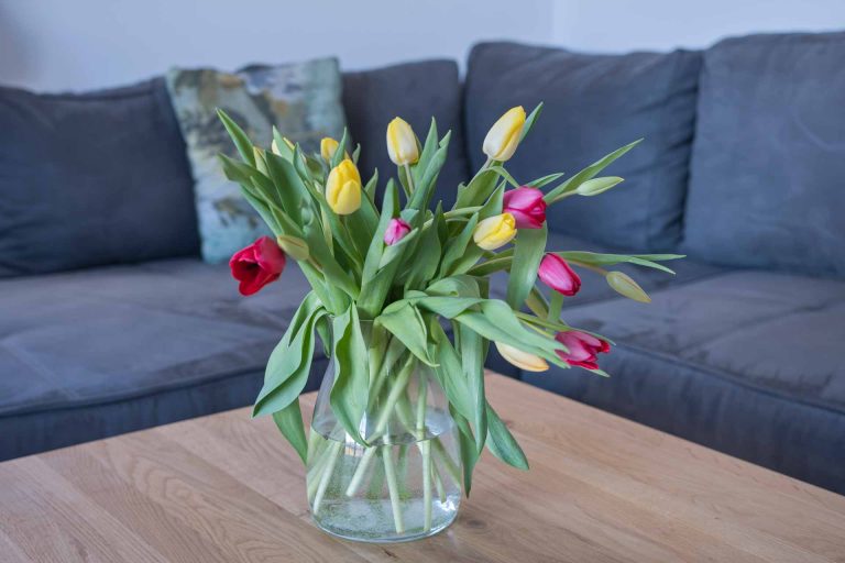 váza s barevnými tulipány na stole, v pozadí sedací souprava