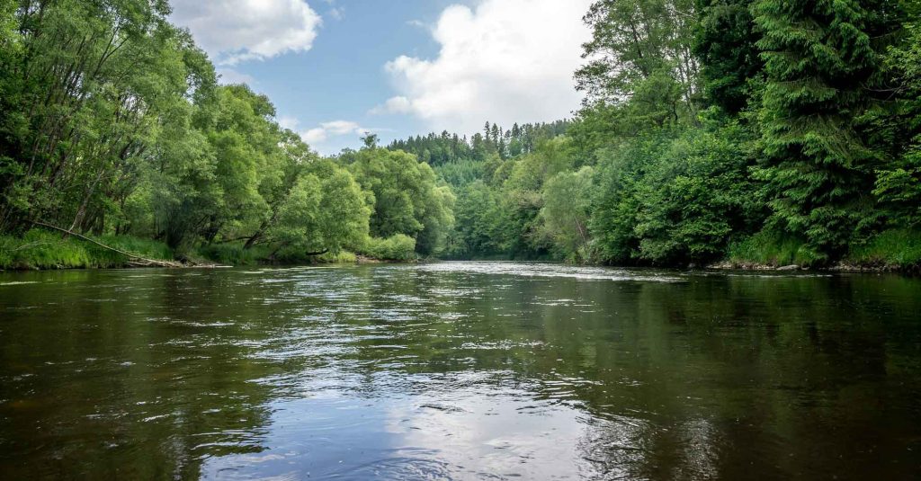 řeka obklopená svěže zelenými stromy pod modrou oblohou